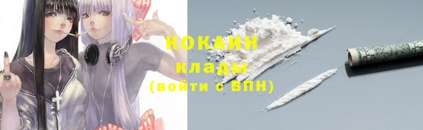 молекула духа Балахна